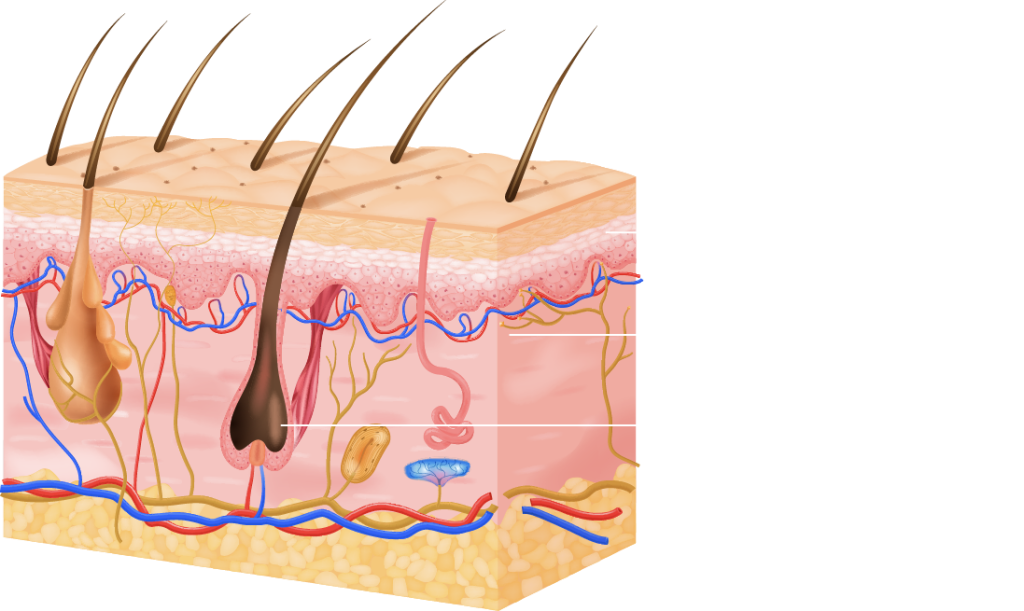 soprano titanium technology